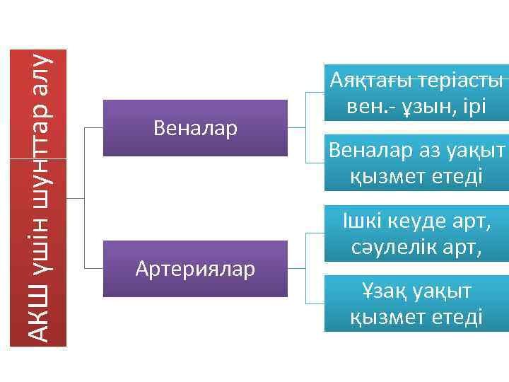 АКШ үшін шунттар алу Веналар Артериялар Аяқтағы теріасты вен. - ұзын, ірі Веналар аз