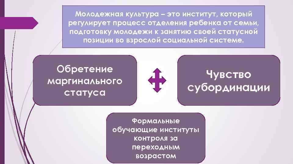 Молодежная культура – это институт, который регулирует процесс отделения ребенка от семьи, подготовку молодежи