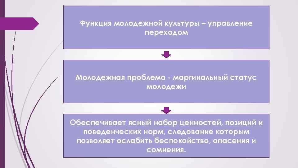 Функция молодежной культуры – управление переходом Молодежная проблема - маргинальный статус молодежи Обеспечивает ясный