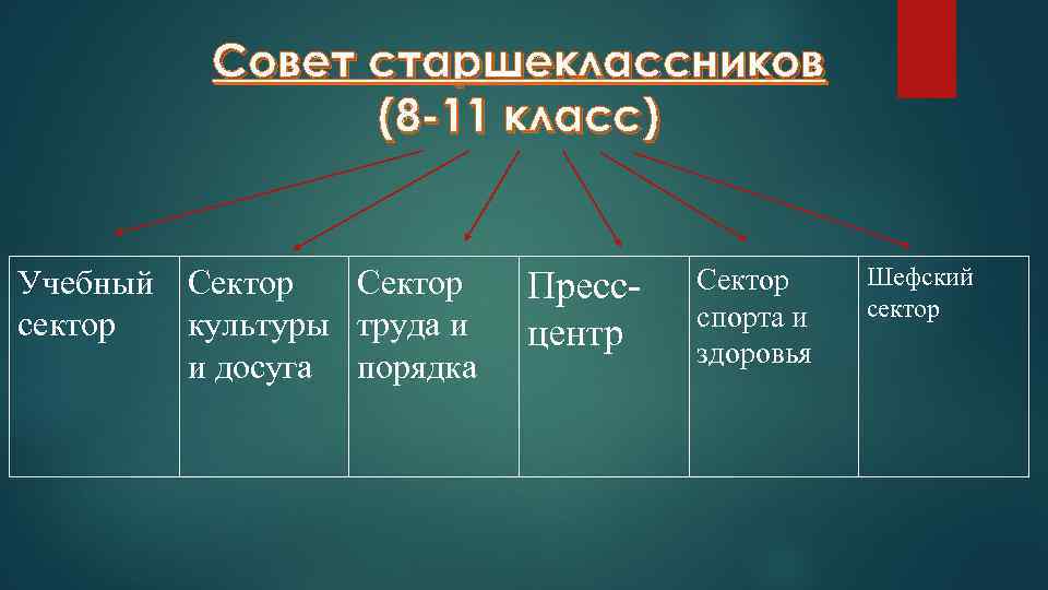 Совет старшеклассников (8 -11 класс) Учебный Сектор сектор культуры труда и и досуга порядка