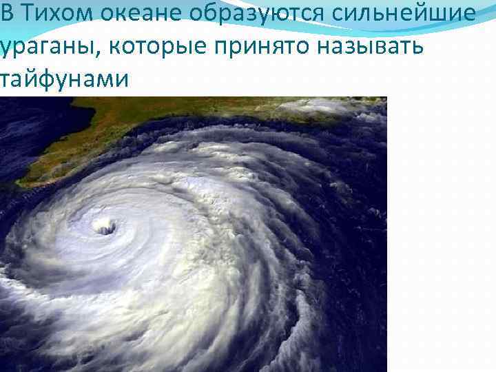 В Тихом океане образуются сильнейшие ураганы, которые принято называть тайфунами 