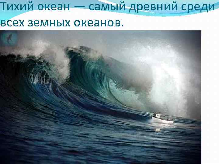 Тихий океан — самый древний среди всех земных океанов. 