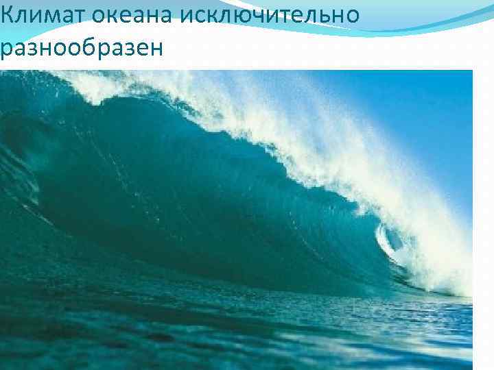 Климат океана исключительно разнообразен 