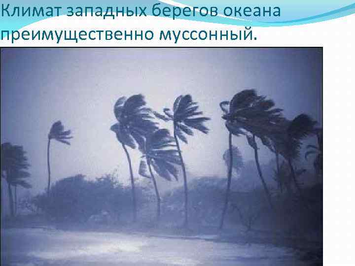 Климат западных берегов океана преимущественно муссонный. 