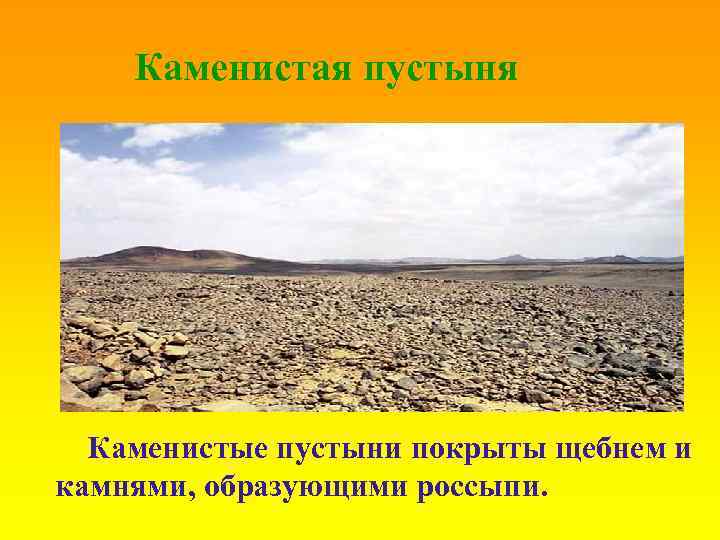 Каменистая пустыня Каменистые пустыни покрыты щебнем и камнями, образующими россыпи. 