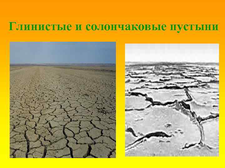 Глинистые и солончаковые пустыни 