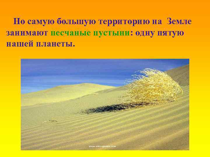 Но самую большую территорию на Земле занимают песчаные пустыни: одну пятую нашей планеты. 