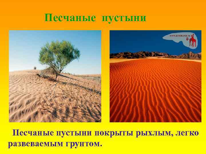 Песчаные пустыни покрыты рыхлым, легко развеваемым грунтом. 