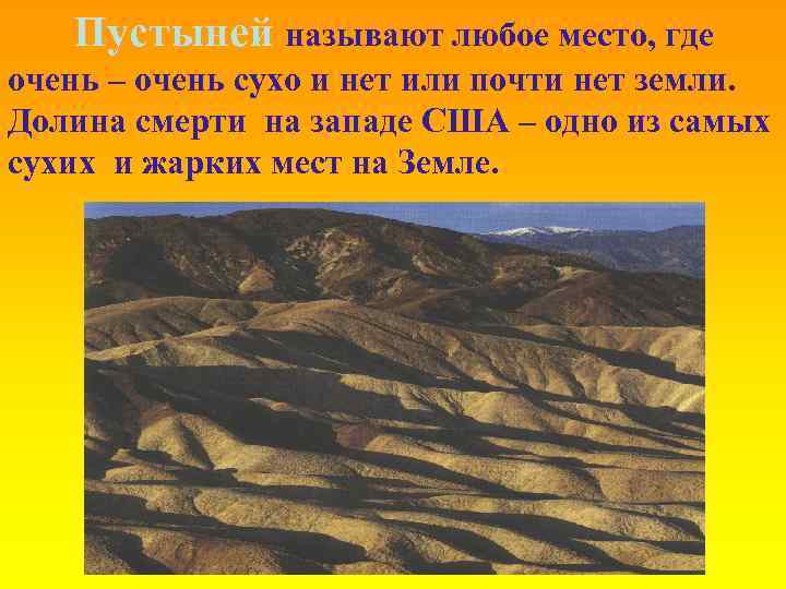 Пустыней называют любое место, где очень – очень сухо и нет или почти нет