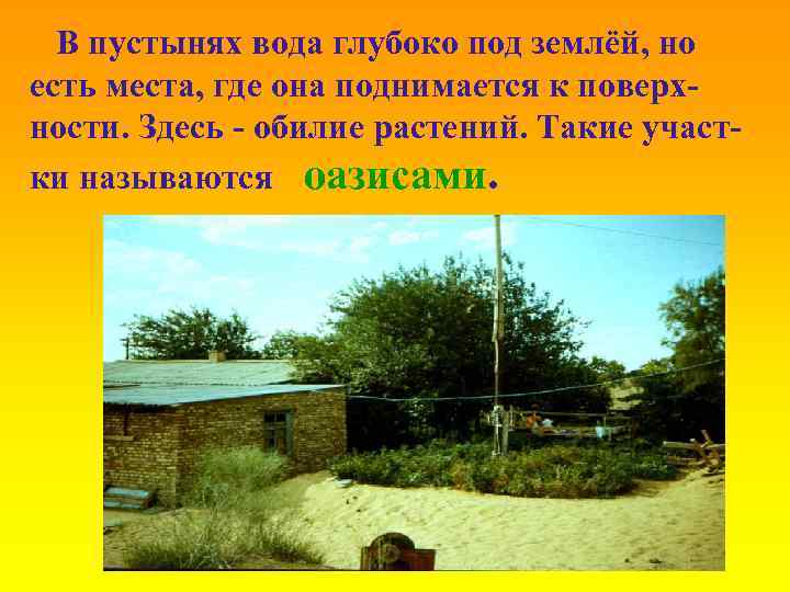 В пустынях вода глубоко под землёй, но есть места, где она поднимается к поверхности.