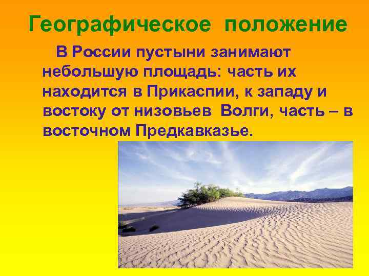 Географическое положение В России пустыни занимают небольшую площадь: часть их находится в Прикаспии, к