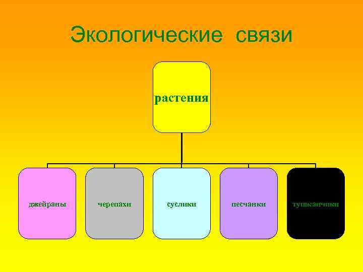 Экологические связи растения джейраны черепахи суслики песчанки тушканчики 