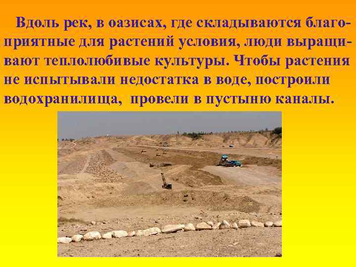 Вдоль рек, в оазисах, где складываются благоприятные для растений условия, люди выращивают теплолюбивые культуры.