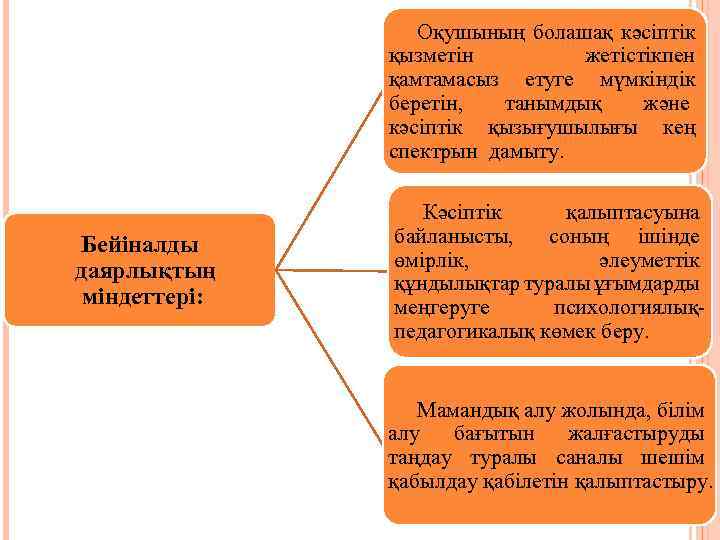 Оқушының болашақ кәсіптік қызметін жетістікпен қамтамасыз етуге мүмкіндік беретін, танымдық және кәсіптік қызығушылығы кең