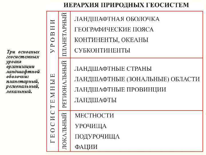 Три основных геосистемных уровня организации ландшафтной оболочки: планетарный, региональный, локальный. 