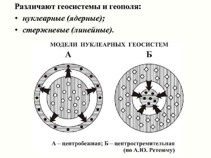 Различают геосистемы и геополя: • нуклеарные (ядерные); • стержневые (линейные). 