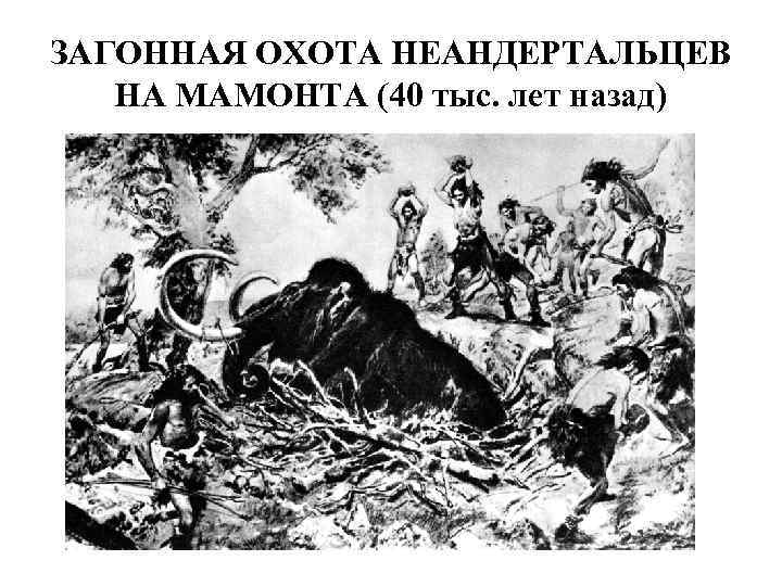 ЗАГОННАЯ ОХОТА НЕАНДЕРТАЛЬЦЕВ НА МАМОНТА (40 тыс. лет назад) 
