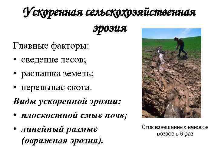 Ускоренная сельскохозяйственная эрозия Главные факторы: • сведение лесов; • распашка земель; • перевыпас скота.