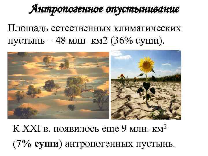 Антропогенное опустынивание Площадь естественных климатических пустынь – 48 млн. км 2 (36% суши). К