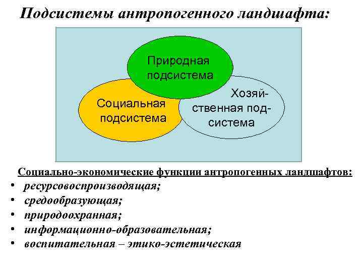 Подсистемы антропогенного ландшафта: Природная подсистема Социальная подсистема Хозяйственная подсистема Социально-экономические функции антропогенных ландшафтов: •