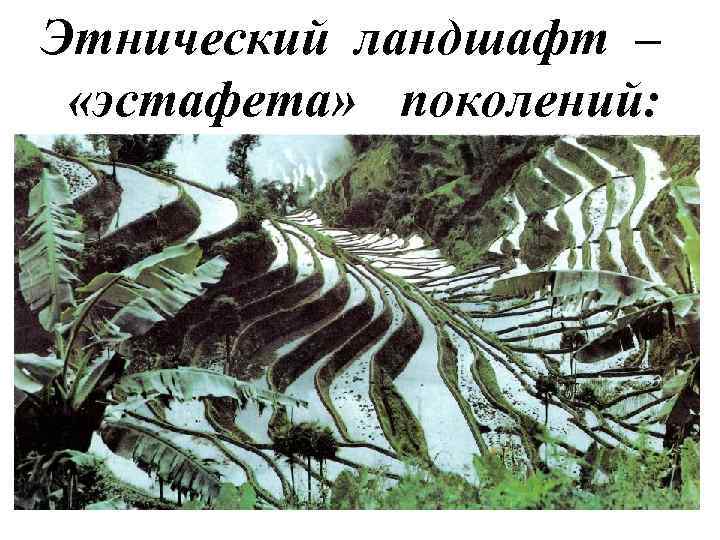 Этнический ландшафт – «эстафета» поколений: от эпохи к эпохе с ним передаются и сберегаются
