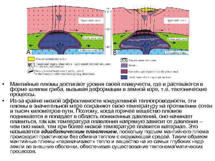  • • Мантийные плюмы достигают уровня своей плавучести, где и растекаются в форме