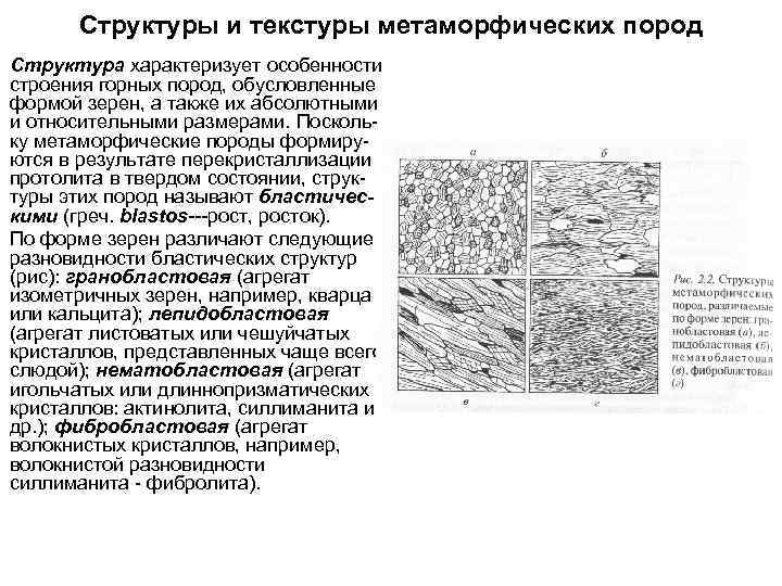 Структуры и текстуры метаморфических пород Структура характеризует особенности строения горных пород, обусловленные формой зерен,