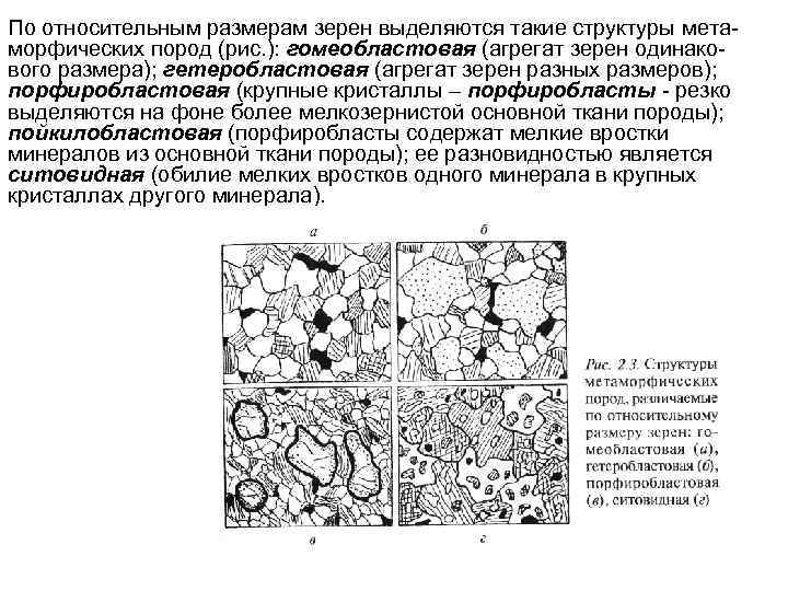 По относительным размерам зерен выделяются такие структуры метаморфических пород (рис. ): гомеобластовая (агрегат зерен