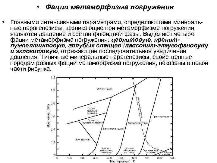  • Фации метаморфизма погружения • Главными интенсивными параметрами, определяющими минеральные парагенезисы, возникающие при