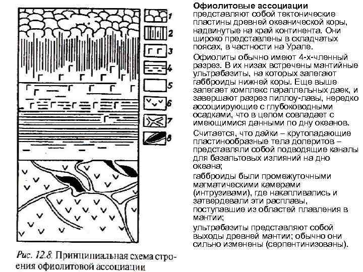  • • • Офиолитовые ассоциации представляют собой тектонические пластины древней океанической коры, надвинутые