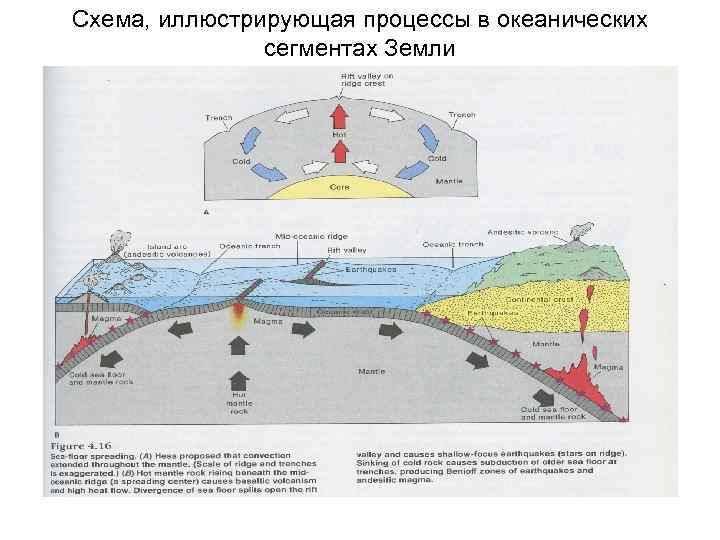 Схема, иллюстрирующая процессы в океанических сегментах Земли 