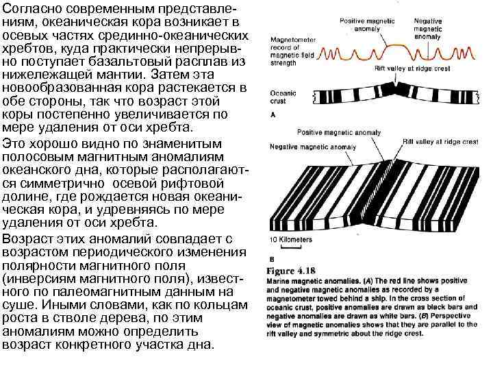 Согласно современным представлениям, океаническая кора возникает в осевых частях срединно-океанических хребтов, куда практически непрерывно