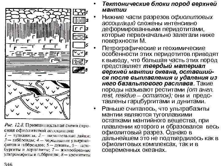  • Тектонические блоки пород верхней мантии • Нижние части разрезов офиолитовых ассоциаций сложены