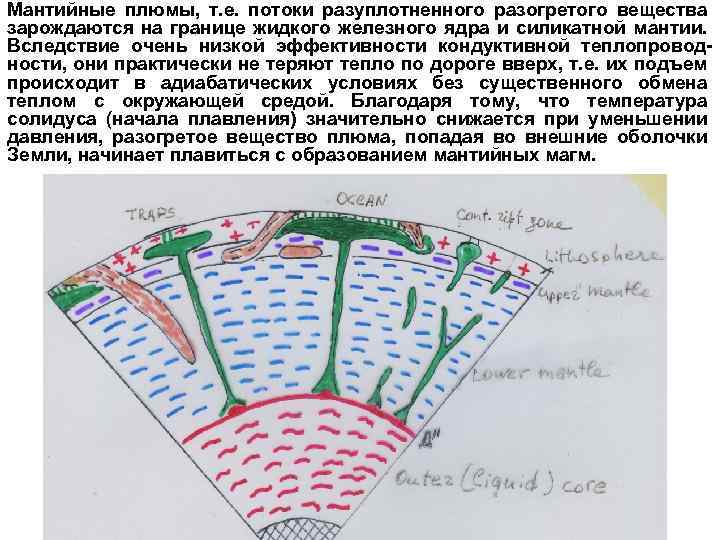 Мантийные плюмы, т. е. потоки разуплотненного разогретого вещества зарождаются на границе жидкого железного ядра