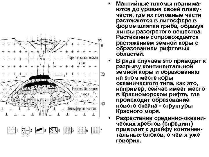  • Мантийные плюмы поднимаются до уровня своей плавучести, где их головные части растекаются