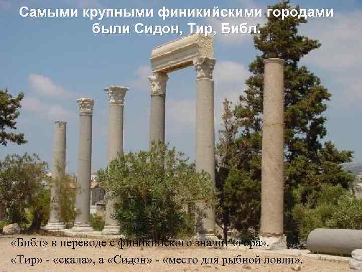 Самыми крупными финикийскими городами были Сидон, Тир, Библ. «Библ» в переводе с финикийского значит
