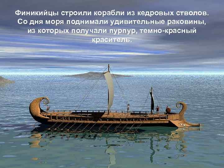 Финикийцы строили корабли из кедровых стволов. Со дня моря поднимали удивительные раковины, из которых