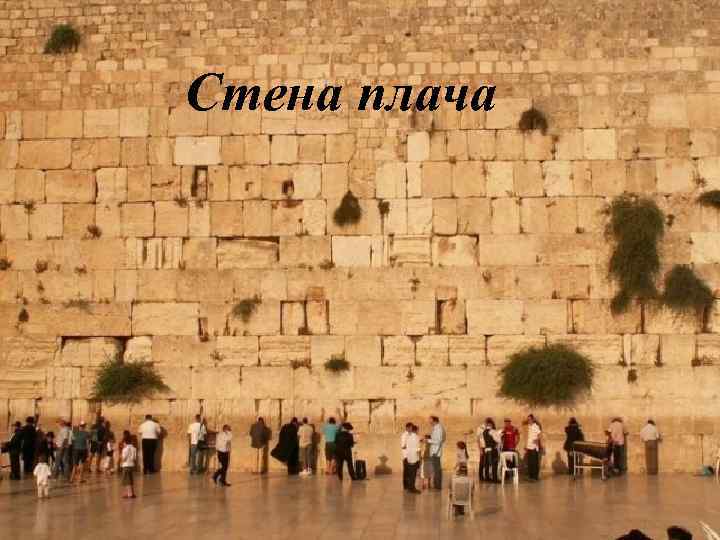 Стена плача 
