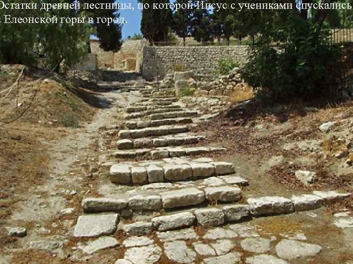 Остатки древней лестницы, по которой Иисус с учениками спускались с Елеонской горы в город.