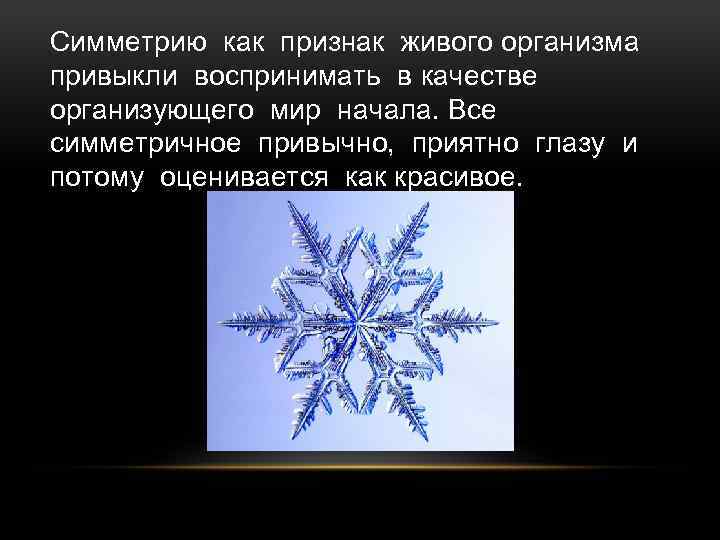 Симметрию как признак живого организма привыкли воспринимать в качестве организующего мир начала. Все симметричное