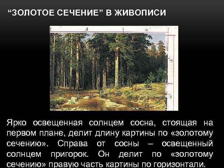 “ЗОЛОТОЕ СЕЧЕНИЕ” В ЖИВОПИСИ Ярко освещенная солнцем сосна, стоящая на первом плане, делит длину