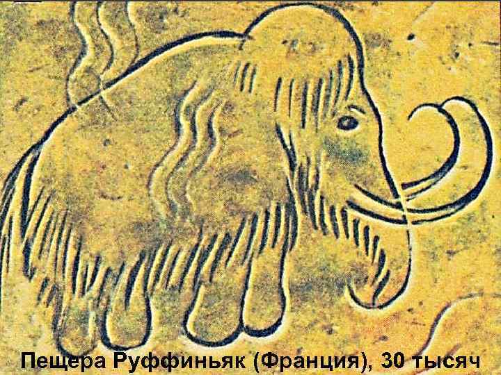 Пещера Руффиньяк (Франция), 30 тысяч 
