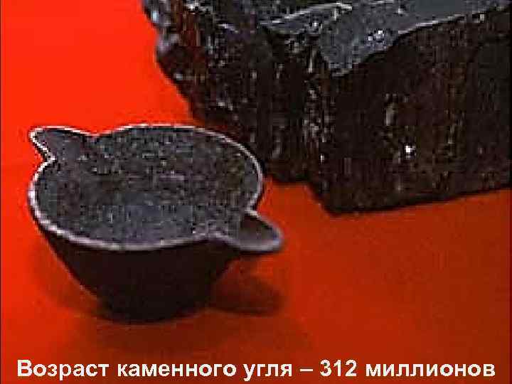 Возраст каменного угля – 312 миллионов 