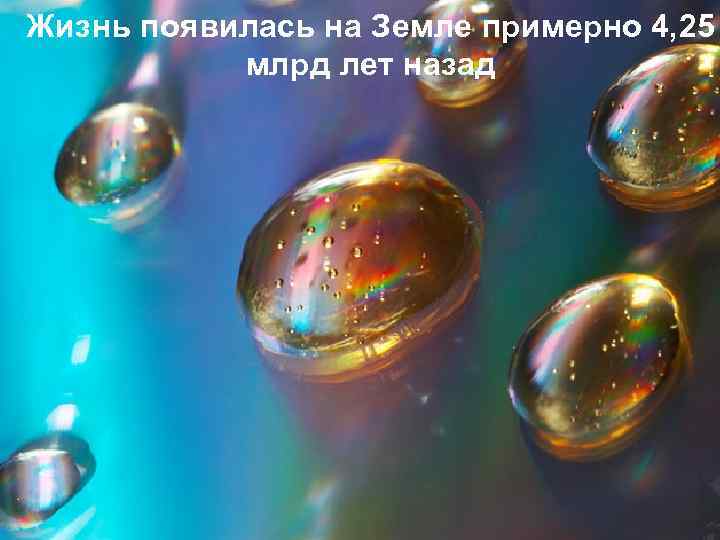 Жизнь появилась на Земле примерно 4, 25 млрд лет назад 