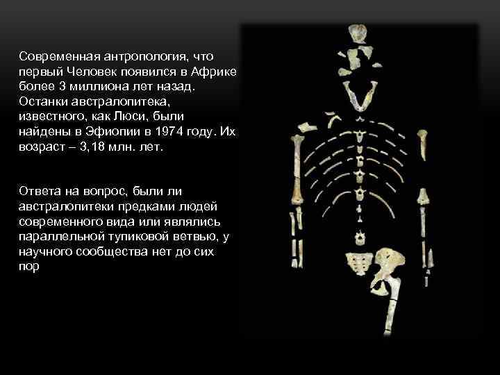 Современная антропология, что первый Человек появился в Африке более 3 миллиона лет назад. Останки
