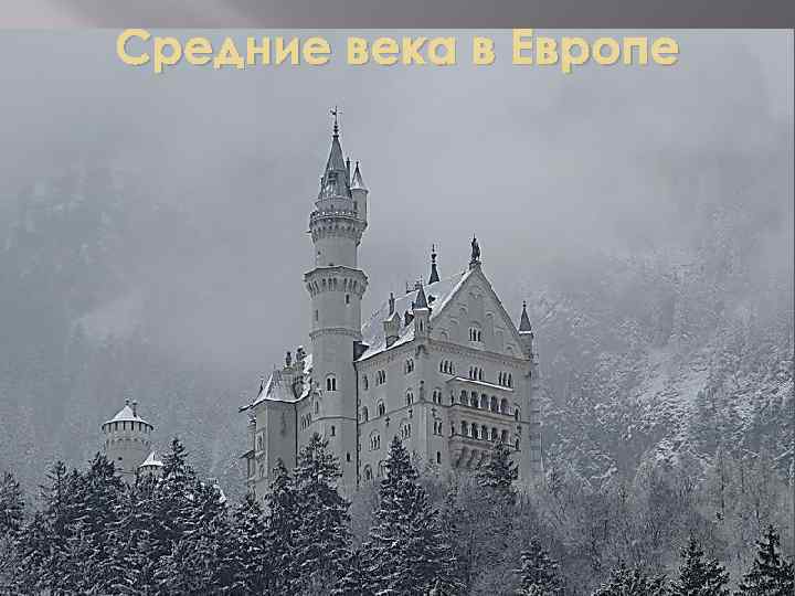 Средние века в Европе 