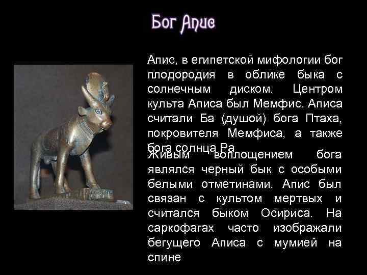 Апис, в египетской мифологии бог плодородия в облике быка с солнечным диском. Центром культа