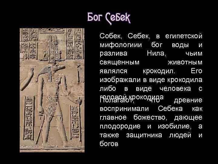 Собек, Себек, в египетской мифологиии бог воды и разлива Нила, чьим священным животным являлся