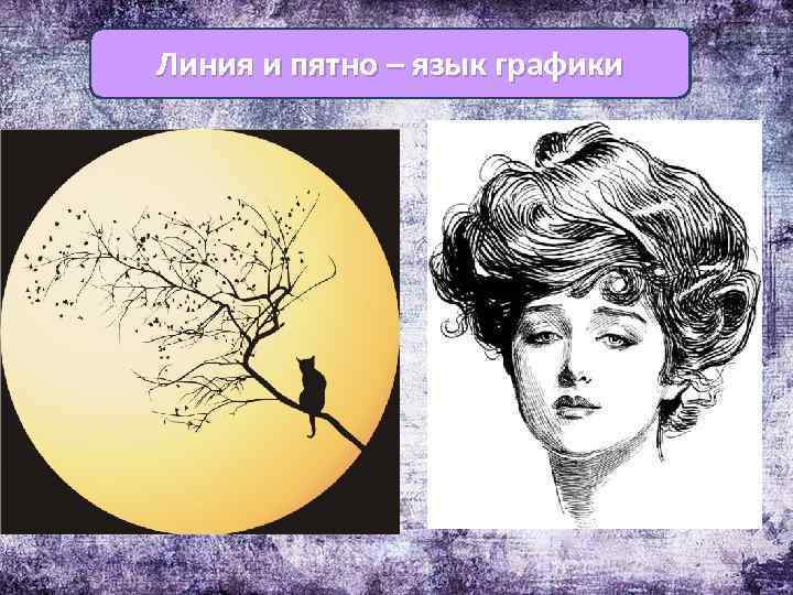 Линия и пятно – язык графики 