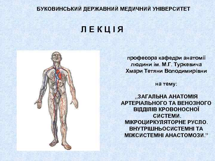 БУКОВИНСЬКИЙ ДЕРЖАВНИЙ МЕДИЧНИЙ УНІВЕРСИТЕТ Л Е К Ц І Я професора кафедри анатомії людини